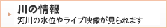 河川の水位やライブ映像が見られます